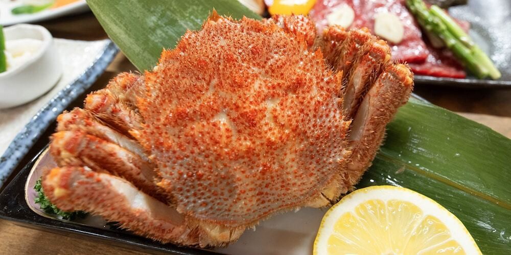 雄大な自然に囲まれた「知床」の温泉宿4037231