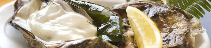 広島・宮島で牡蠣三昧♪料理自慢の旅館おすすめ8選