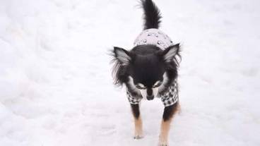 施設の敷地 / 19