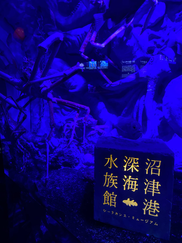 riochi_odekakeさんの写真 / 3