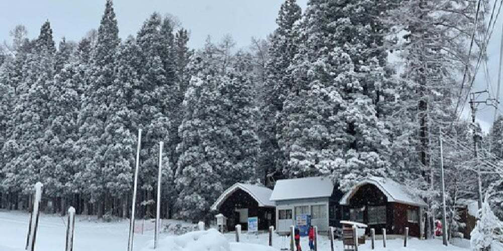 マウンテン ビュー