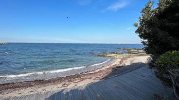 ボードウォーク / 9