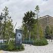 国立競技場の目の前に建っています