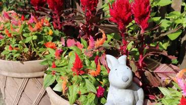 施設の敷地 / 28