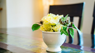 ラグジュアリー ハウス