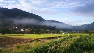 マウンテン ビュー / 31