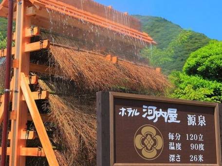 下賀茂温泉 ホテル河内屋 / 3