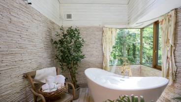 オーベルジュ・ド・プリマヴェーラ（オーベルジュ ド プリマヴェーラ） / 4