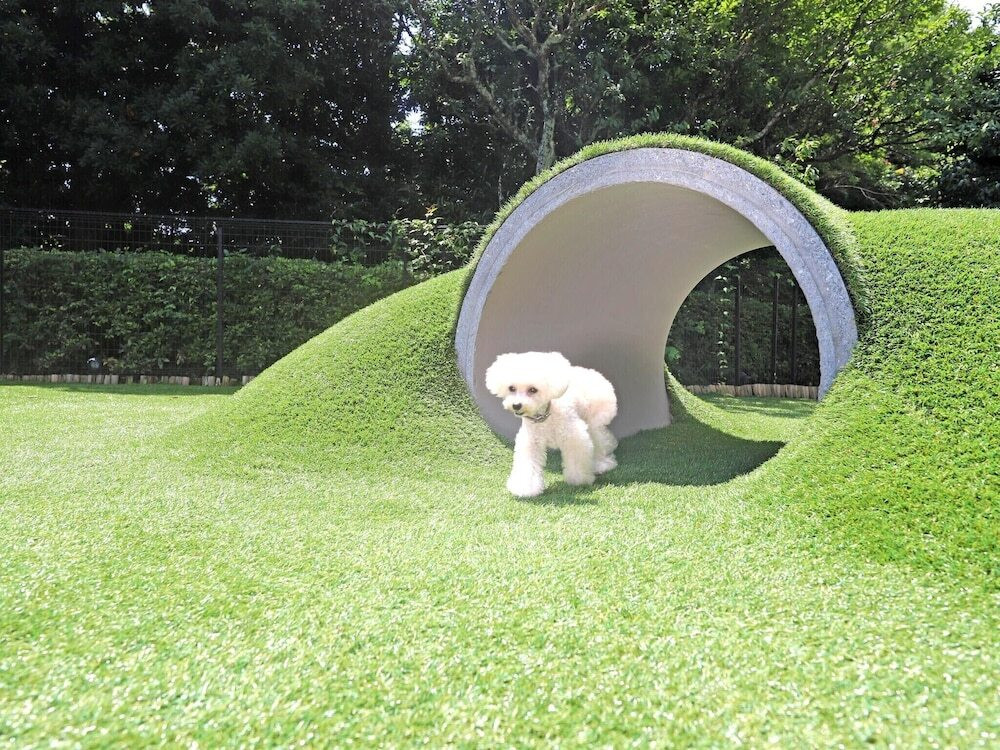 ペット用設備・サービス