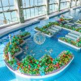 アクアパレス 屋内プール / 2