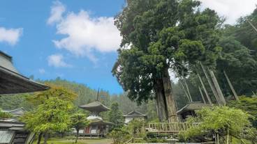 施設内の設備 / 23