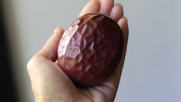 専用キッチン / 20