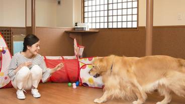 ペット用設備・サービス / 4