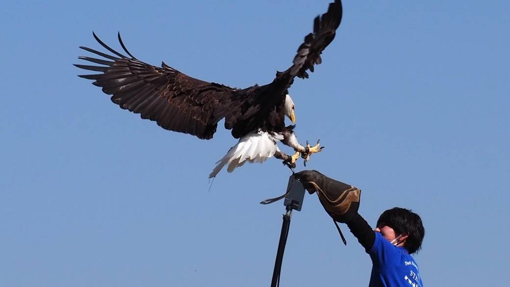 那須どうぶつ王国 / 3