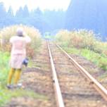 ひとり旅におすすめのローカル線6選。まったり、車窓に流れる「春」を眺めて