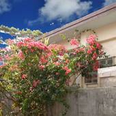 1日1組限定の宿 ゆくいる（沖縄県 民宿） / 4