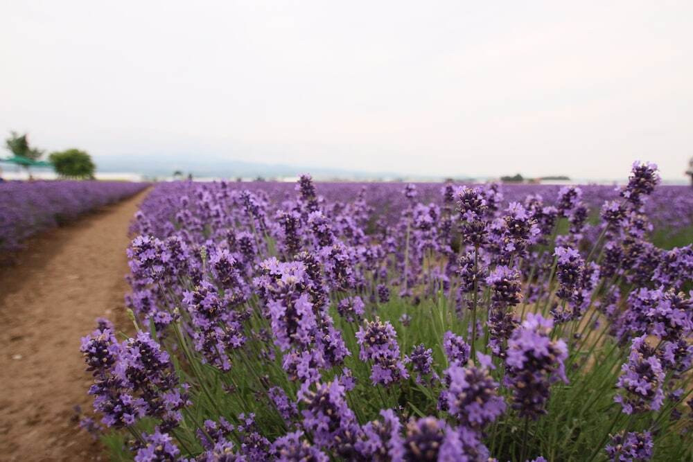 施設からの眺望