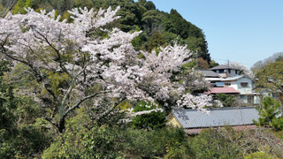 ファミリー 4 人部屋 ベッド (複数台) 共用バスルーム マウンテンビュー