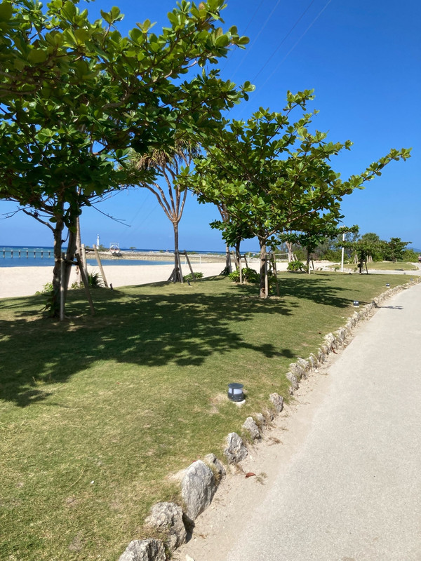 歩くのも楽しい