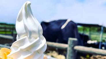 子供用の遊び場 - 屋外 / 6