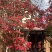 Samurise NORTH（山梨県 ペンション） / 5