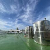 ゲストハウス BASE OKINAWA（沖縄県 ゲストハウス・ホステル・ドミトリー） / 4