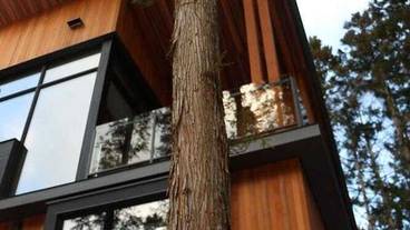 バルコニーからの眺望 / 4