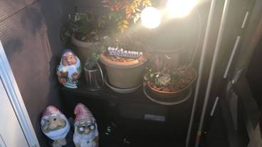 内装の詳細 / 10