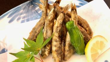 夕食一例／トロボッチ / 10