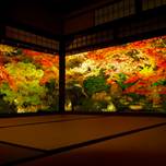 【2019最新】秋の京都はやっぱり美しい。心洗われる紅葉スポット7選