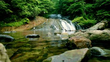 養老渓谷 粟又の滝 / 5