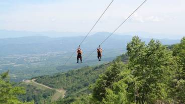 ジップライン / 31