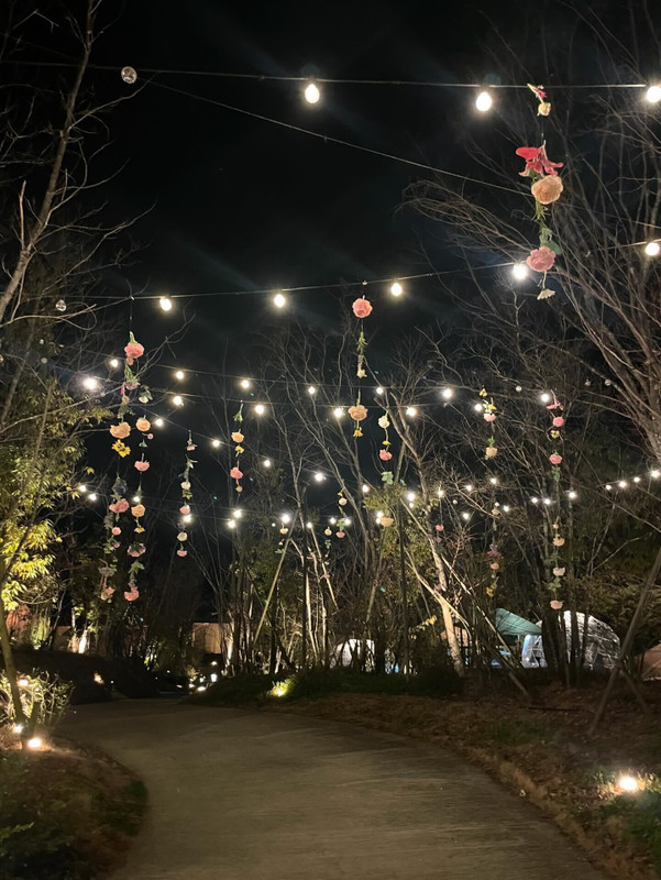 crnbelrrさんの写真 / 1