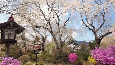 施設の敷地 / 25