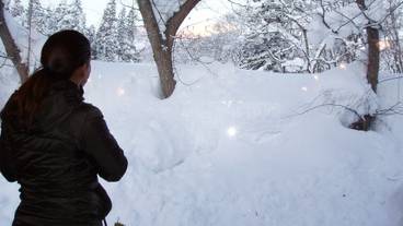 施設からの眺望 / 24