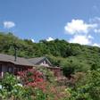 伊豆大島 ホテル＆リゾート マシオ（大島）
