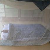 ゲストハウス 錦（埼玉県 ゲストハウス・ホステル・ドミトリー） / 5