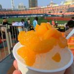 ベイスターズの本拠地・横浜スタジアム内のおすすめグルメ9選