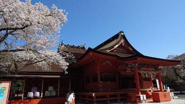 観光スポット / 11