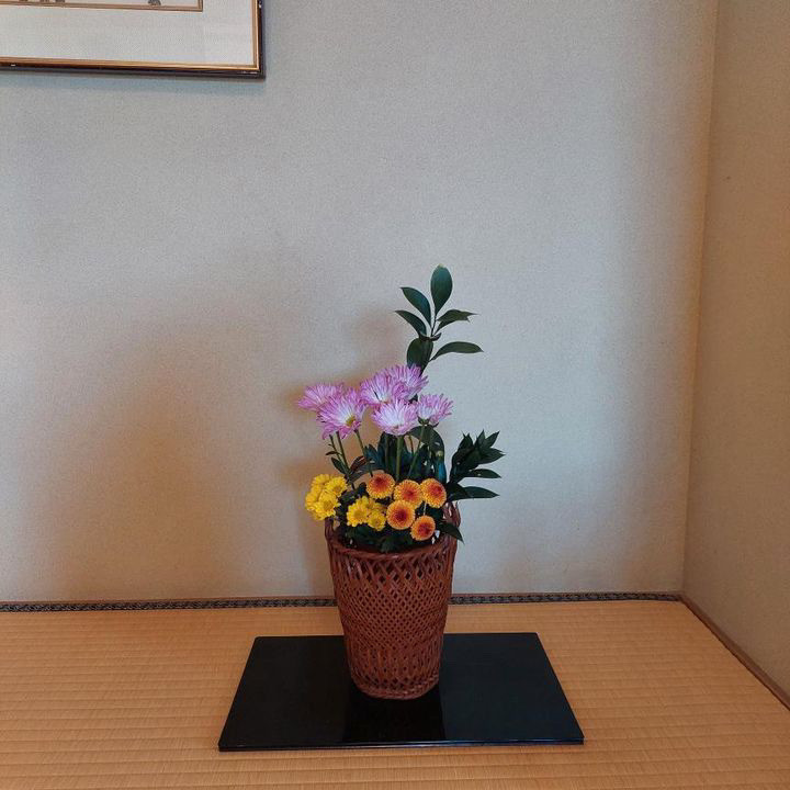 dokudantohenkenさんの写真 / 2