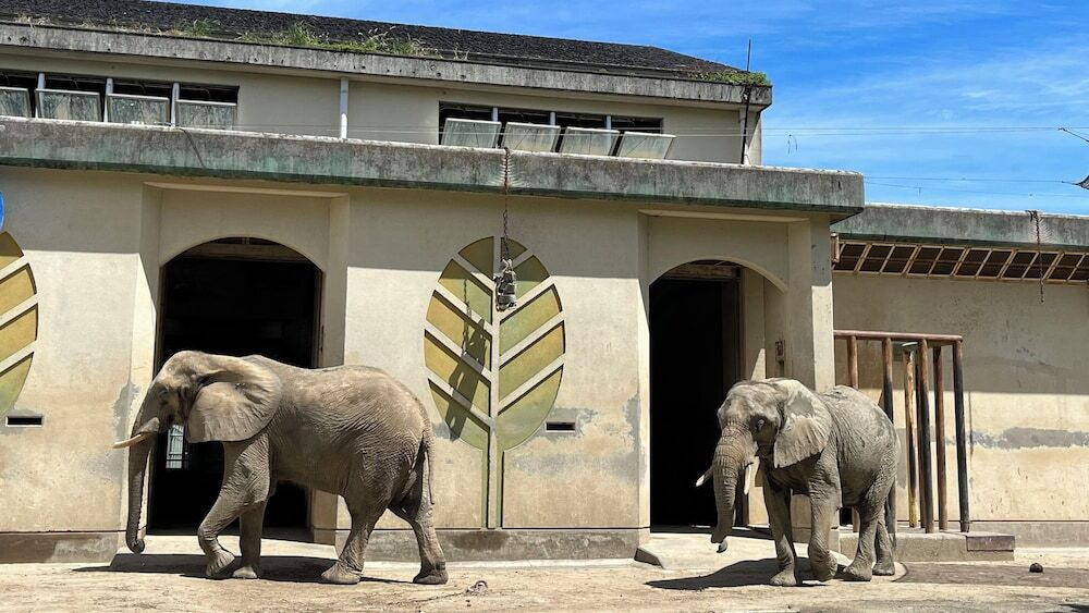 熊本市動植物園