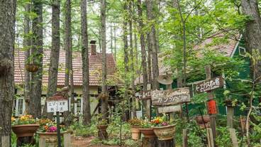 施設の敷地 / 17