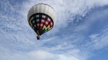 子供向けアクティビティ / 7