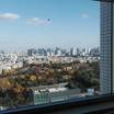 部屋からの新宿御苑