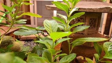 施設からの眺望 / 12