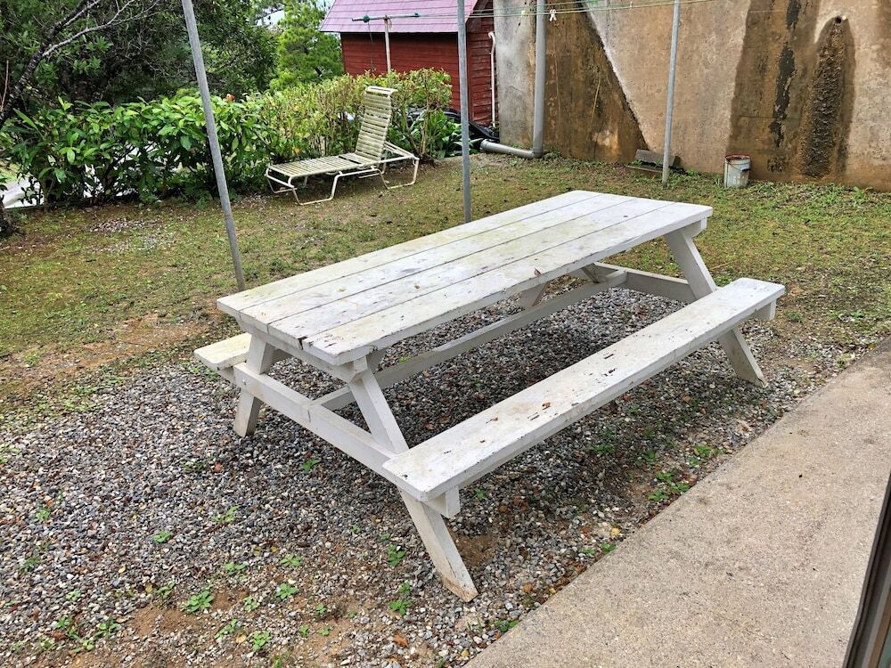 バーベキュー / ピクニック エリア