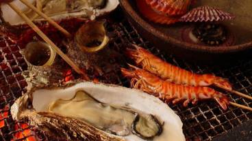 食事・飲み物 / 14