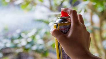 食事・飲み物 / 10