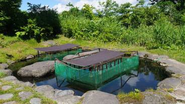 施設からの眺望 / 12