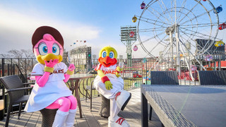 ベーシック ルーム